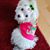Cindy Cunningham's profile image