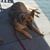 Lou B. Schield's profile image