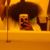 Kay Raines's profile image