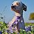 Barbara O'Brien's profile image