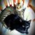 Sara Lydic's profile image