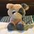 Michelle Fischer Wilson's profile image