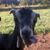 Bonnie Vanderpool's profile image