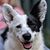 Kat Rutherford's profile image
