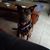 Jason Robert Mitchell's profile image