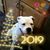 Krista Coble's profile image