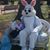 Sara Sedillo's profile image