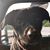 Robert Anderson's profile image