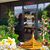 Thai Chiang Mai's profile image