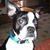 Kim Townsend's profile image