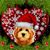 Dawna Atencio's profile image
