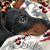 LouAnn Gutshall Kennedy's profile image