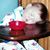 Adam Harbaugh's profile image