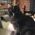 Fran Trunnell's profile image