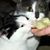 Tracy Mowery Weaver's profile image