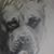 Tomas Ojeda's profile image