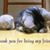 Shanna K Stafford's profile image