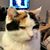 Roberta Moore's profile image