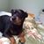Maryann Giordano's profile image
