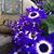 Zita Hamann's profile image