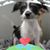 Maria Harrington's profile image