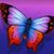 Roberta Ortega's profile image