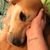 Mary Ann Hancock's profile image