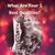 Linda Elmore Tipton Tiedt's profile image