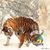 Stephen M. Pelcher's profile image