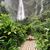 Donna Marie's profile image