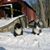 Penelope S Shetler's profile image