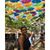 Nancylee Quezada's profile image