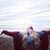 Samantha Janssen's profile image