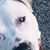 Brenda Busch's profile image