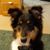Audrey Neal Blackman's profile image