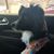 Laura Simonson Cabrera's profile image