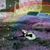 Lorie Whiteley's profile image
