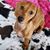 Melissa J Scudder-Thompson's profile image