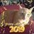 Julie Chin Bloom's profile image