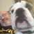 Kerry DeLisle's profile image
