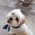 Jean Johanson's profile image