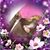 Michelle J. Nagle's profile image