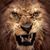 Devon Riske's profile image