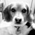 Alisa Smith's profile image