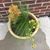Pat Palloch's profile image
