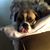 Brenda Smith's profile image