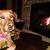 Jeanine Brizzolara's profile image