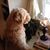 Joyce Biddulph's profile image
