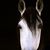 Marla Ferguson's profile image