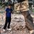 Miguel A. Corral's profile image